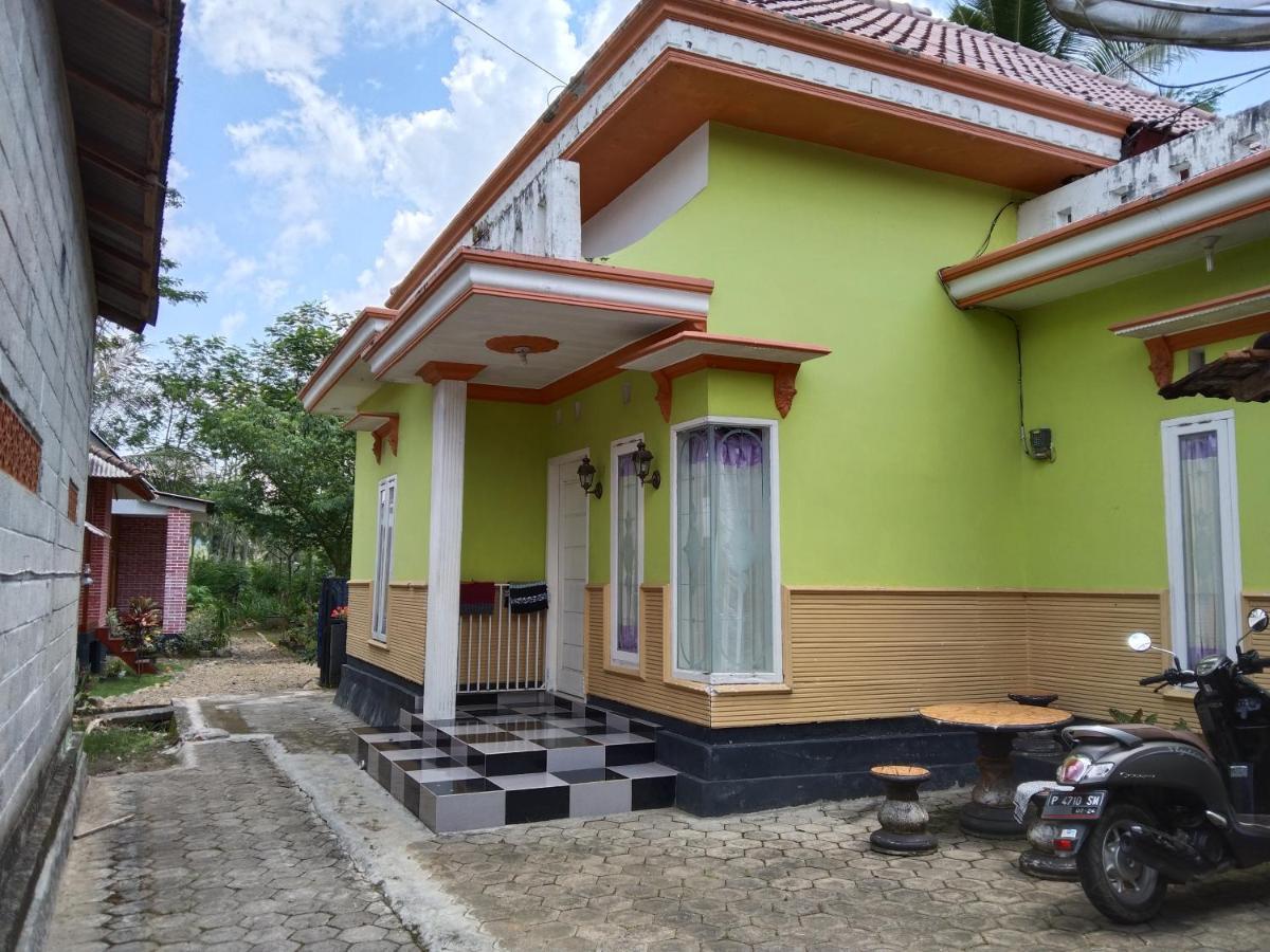 Adventure Turtle Homestay Meru Betiri Sarungan エクステリア 写真