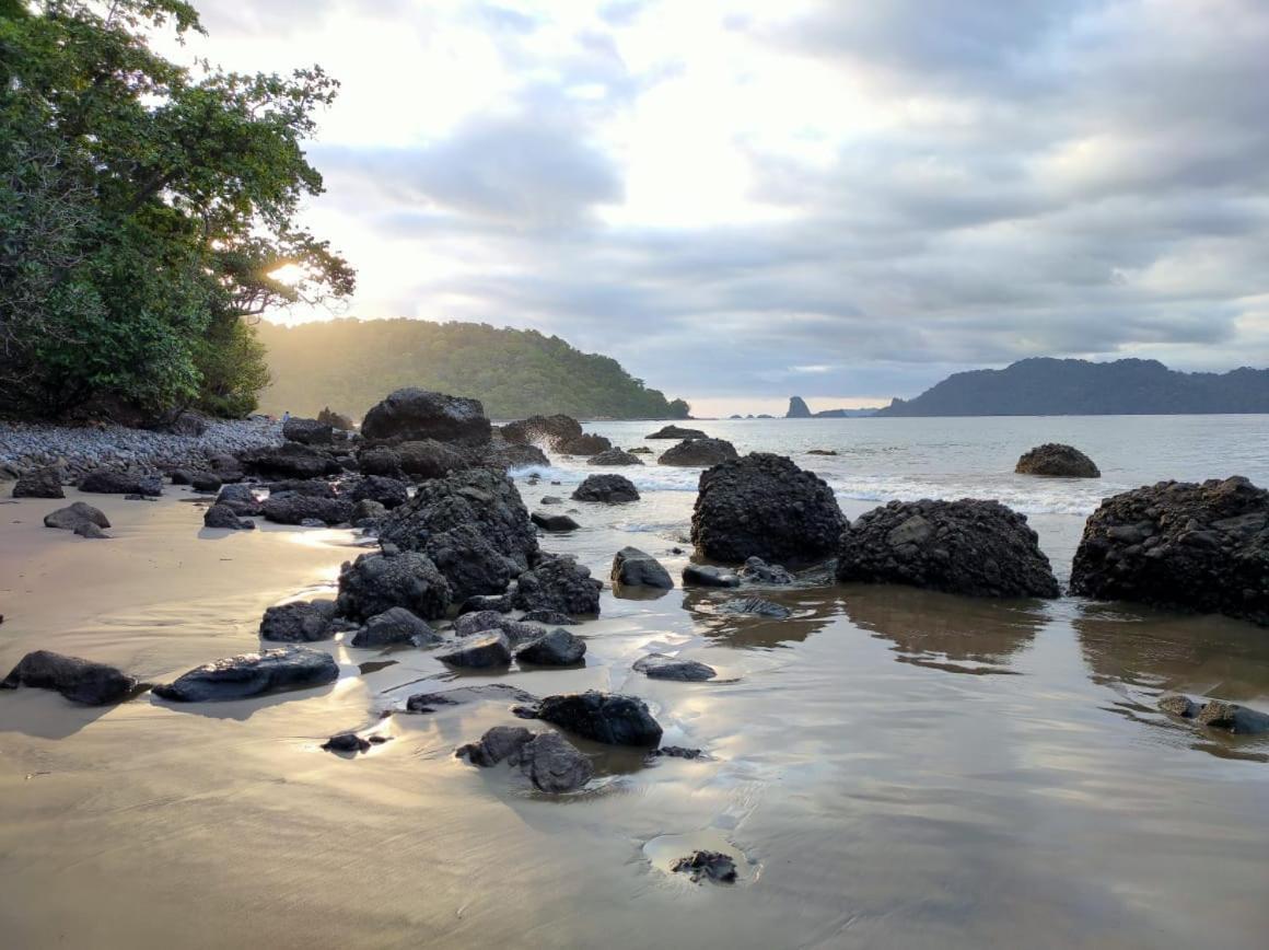 Adventure Turtle Homestay Meru Betiri Sarungan エクステリア 写真