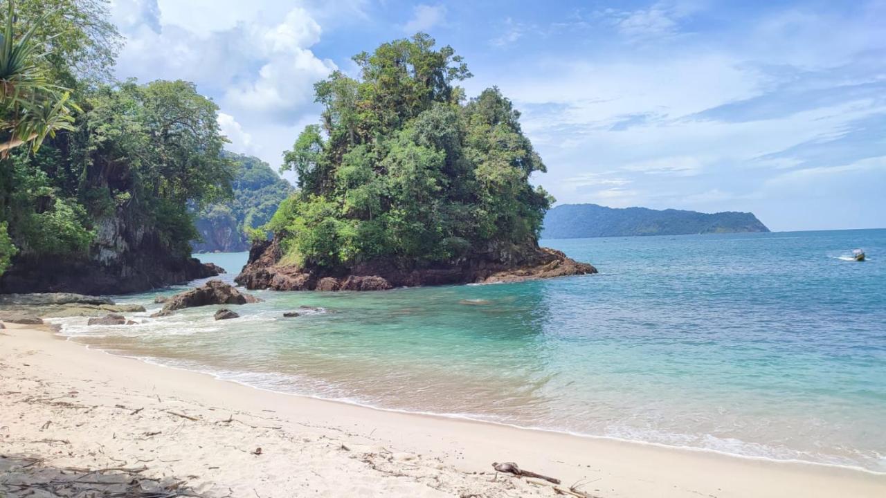 Adventure Turtle Homestay Meru Betiri Sarungan エクステリア 写真