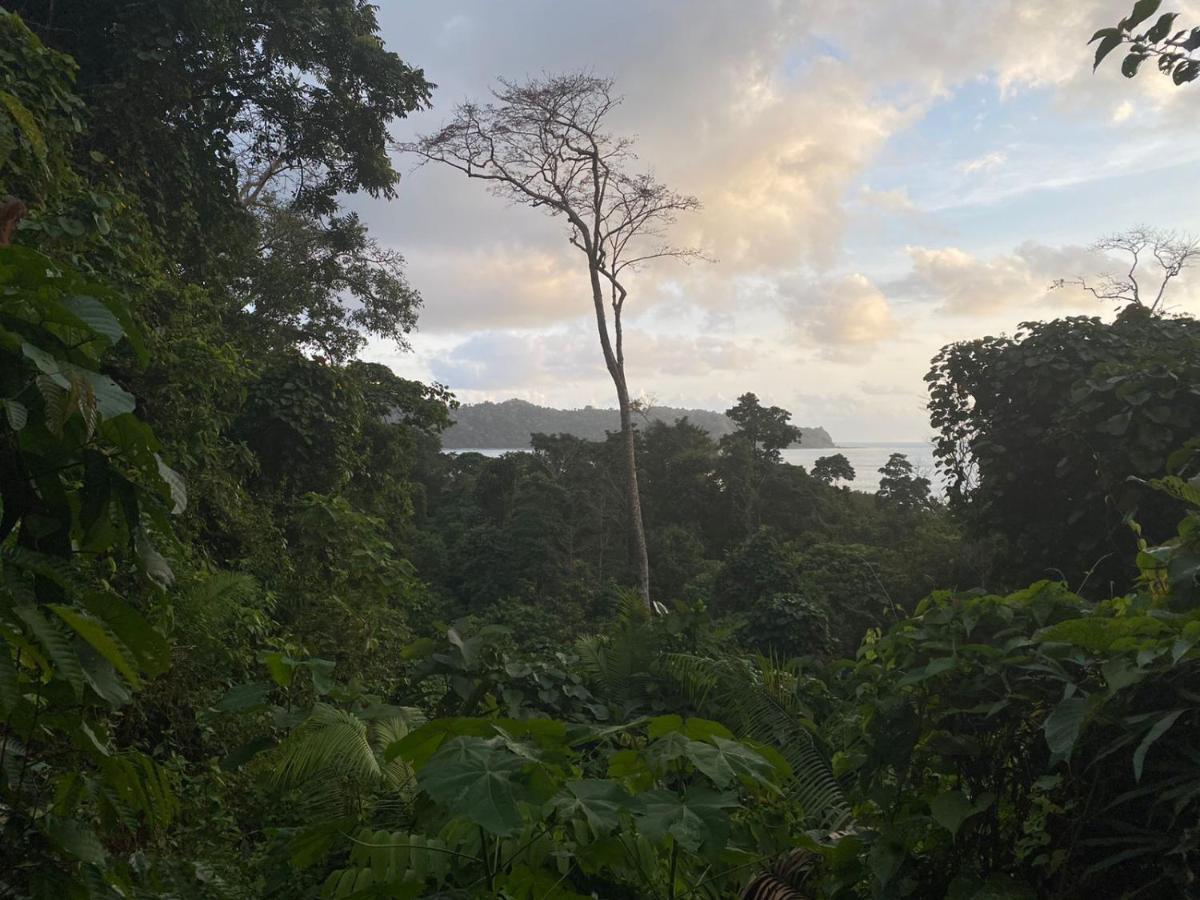 Adventure Turtle Homestay Meru Betiri Sarungan エクステリア 写真