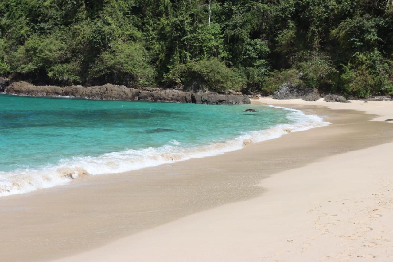 Adventure Turtle Homestay Meru Betiri Sarungan エクステリア 写真