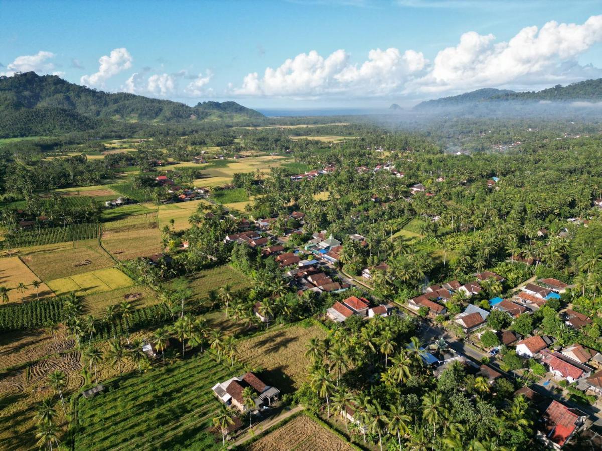 Adventure Turtle Homestay Meru Betiri Sarungan エクステリア 写真