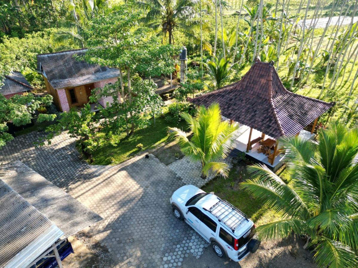 Adventure Turtle Homestay Meru Betiri Sarungan エクステリア 写真