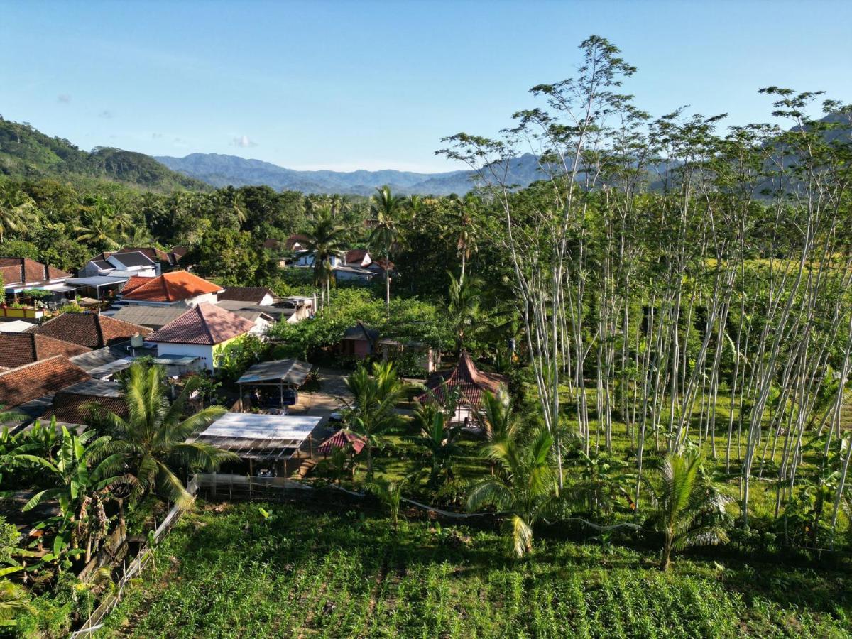 Adventure Turtle Homestay Meru Betiri Sarungan エクステリア 写真