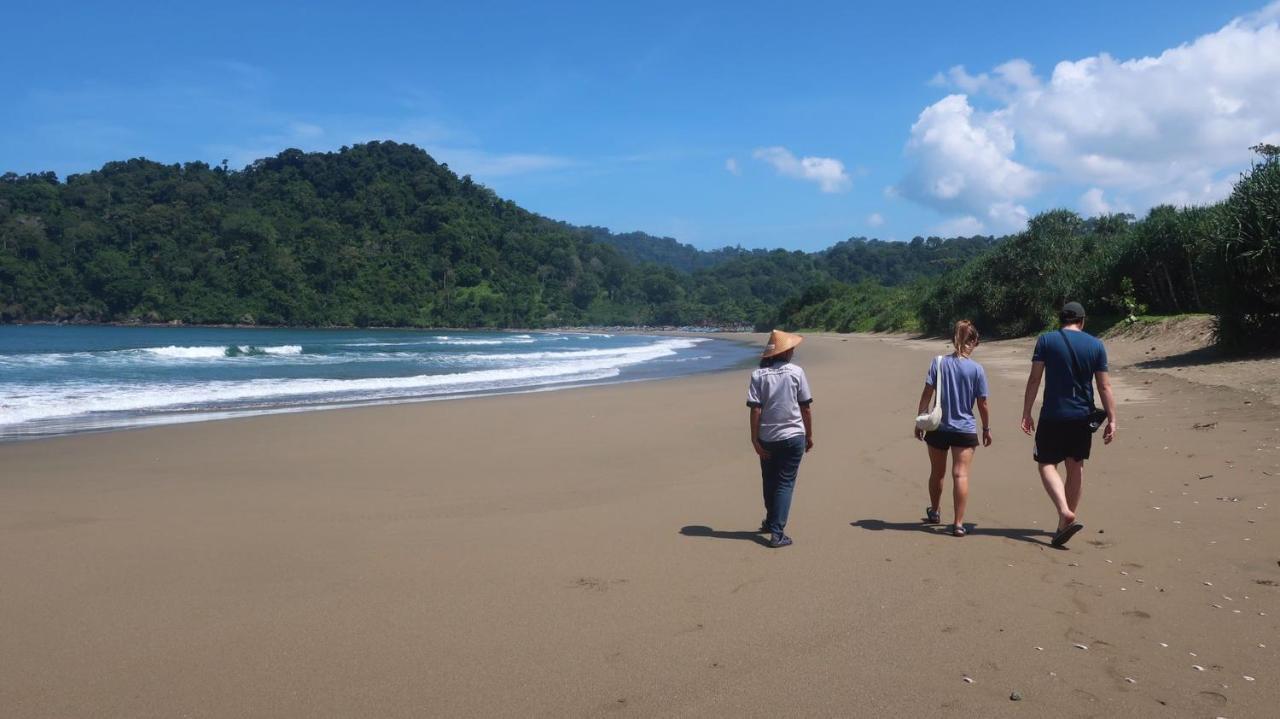Adventure Turtle Homestay Meru Betiri Sarungan エクステリア 写真
