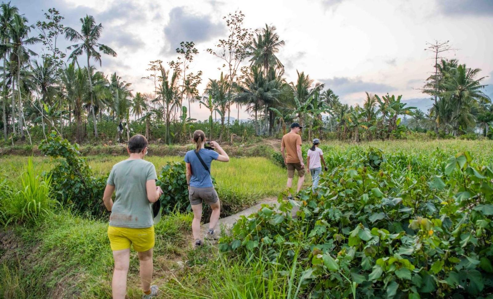 Adventure Turtle Homestay Meru Betiri Sarungan エクステリア 写真