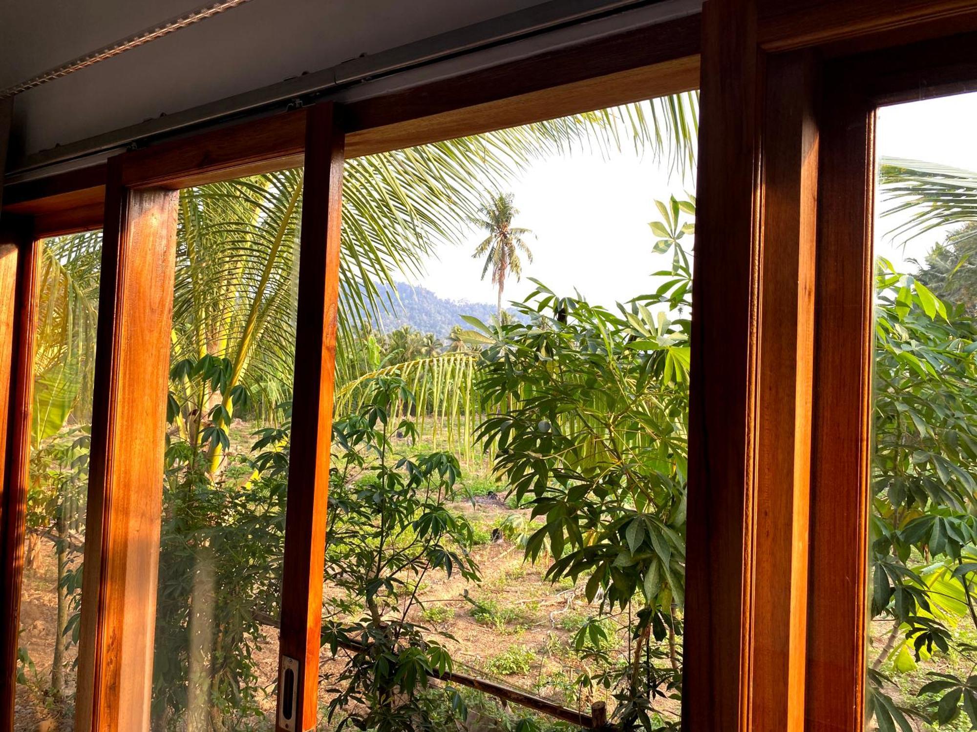 Adventure Turtle Homestay Meru Betiri Sarungan エクステリア 写真