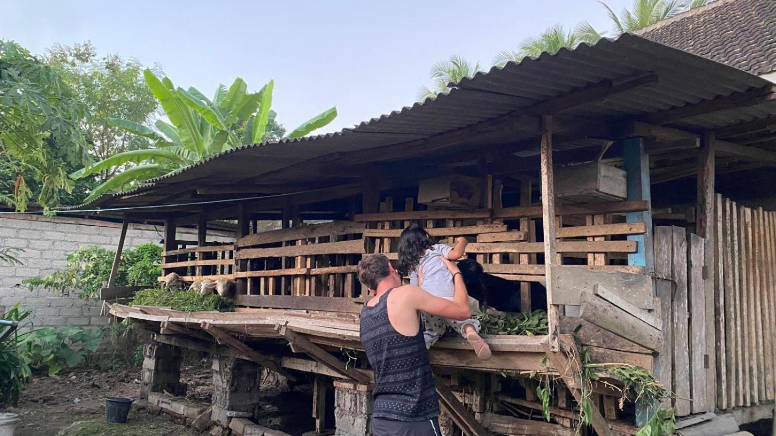 Adventure Turtle Homestay Meru Betiri Sarungan エクステリア 写真