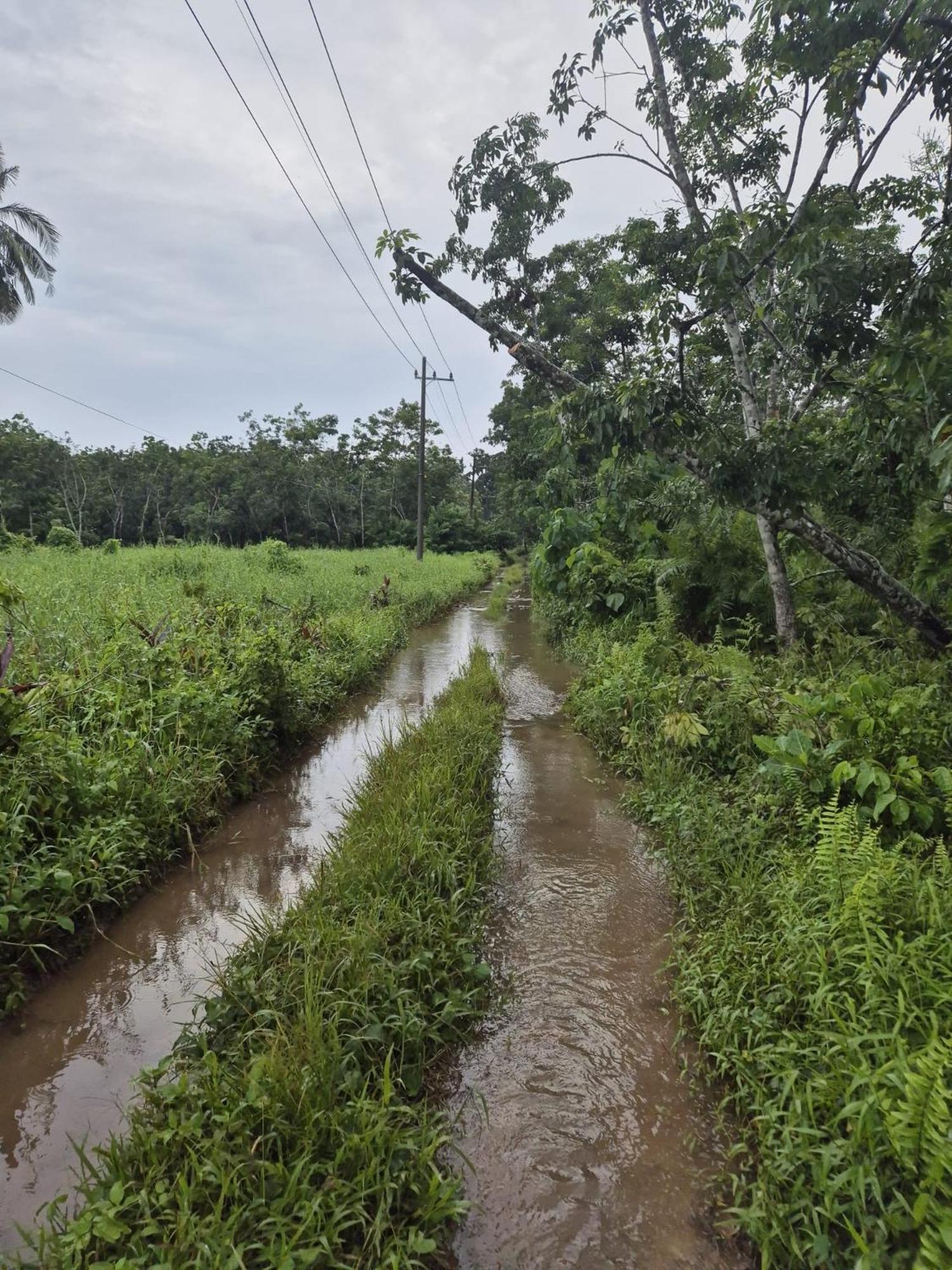 Adventure Turtle Homestay Meru Betiri Sarungan エクステリア 写真